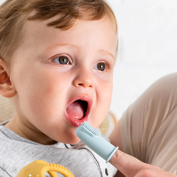 Δακτυλικές Οδοντόβουρτσες (Σετ 2τμχ) Nattou Silicon Petrol - Ciel N876674