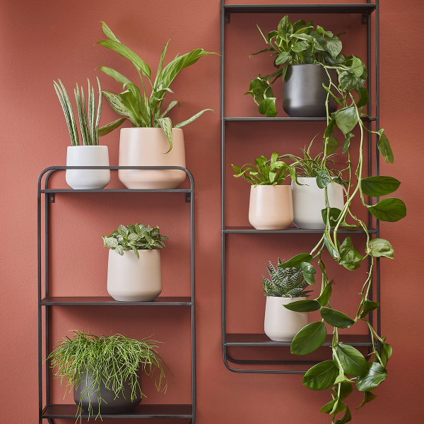 Κασπώ (Φ14x13.5) Edelman Amber Pink Matt 1094377