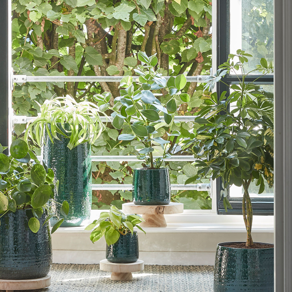 Δίσκος Διακόσμησης Με Πόδι (Φ30x10.5) Edelman Pia 1081531