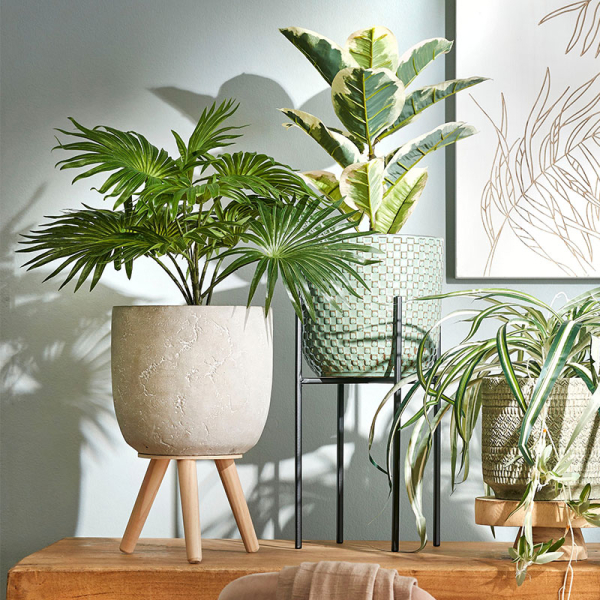 Κασπώ Με Βάση (21x33.5) Edelman Jimmy L.Grey 1095046