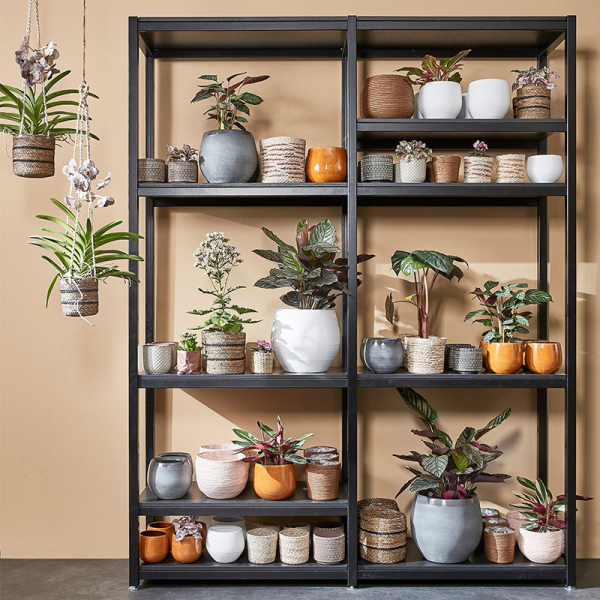 Κασπώ (Φ16x13) Edelman Douro White 1094630