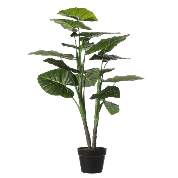 Τεχνητό Δέντρο Κολοκασία (Φ70x100) Edelman Taro 1074894