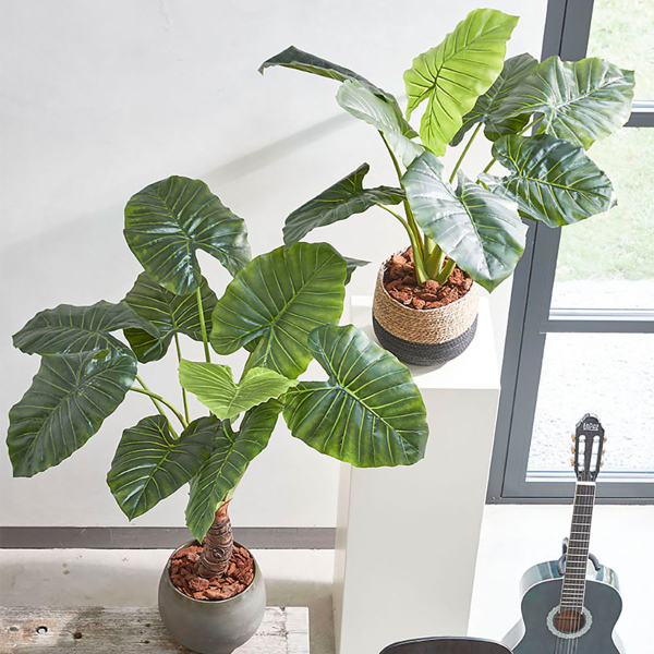 Τεχνητό Δέντρο Κολοκασία (Φ70x100) Edelman Taro 1074894