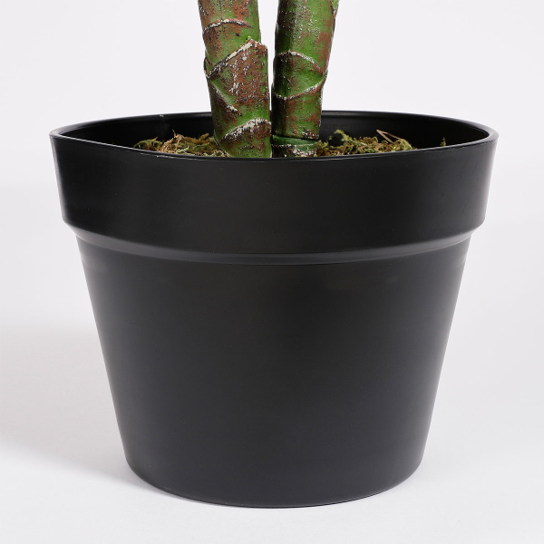 Τεχνητό Δέντρο Κολοκασία (Φ70x100) Edelman Taro 1074894