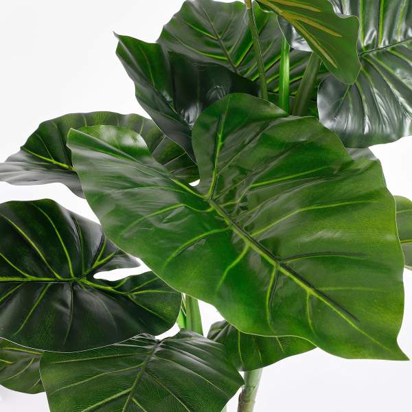 Τεχνητό Δέντρο Κολοκασία (Φ70x100) Edelman Taro 1074894