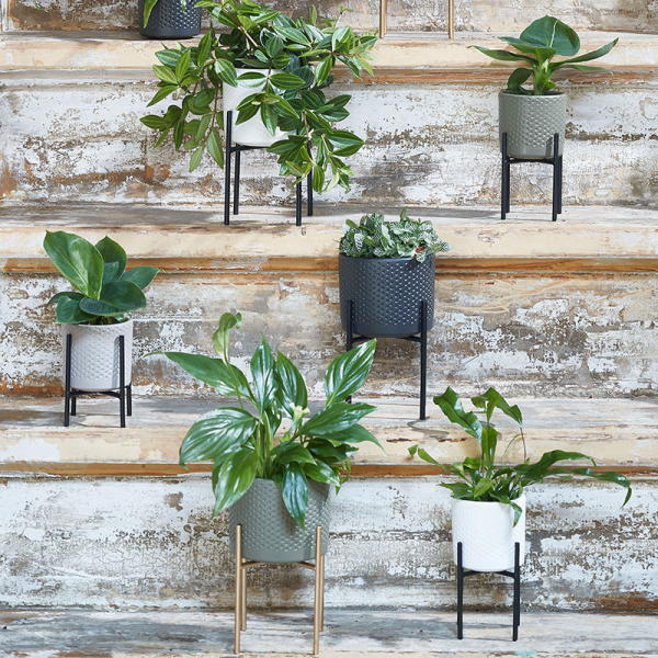 Κασπώ (Φ10x9) Edelman Era White 1096055