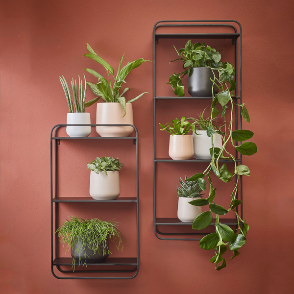 Κασπώ (Φ17x15.5) Edelman Amber Taupe 1087666