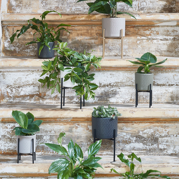 Κασπώ (Φ10x9) Edelman Era Black 1096066