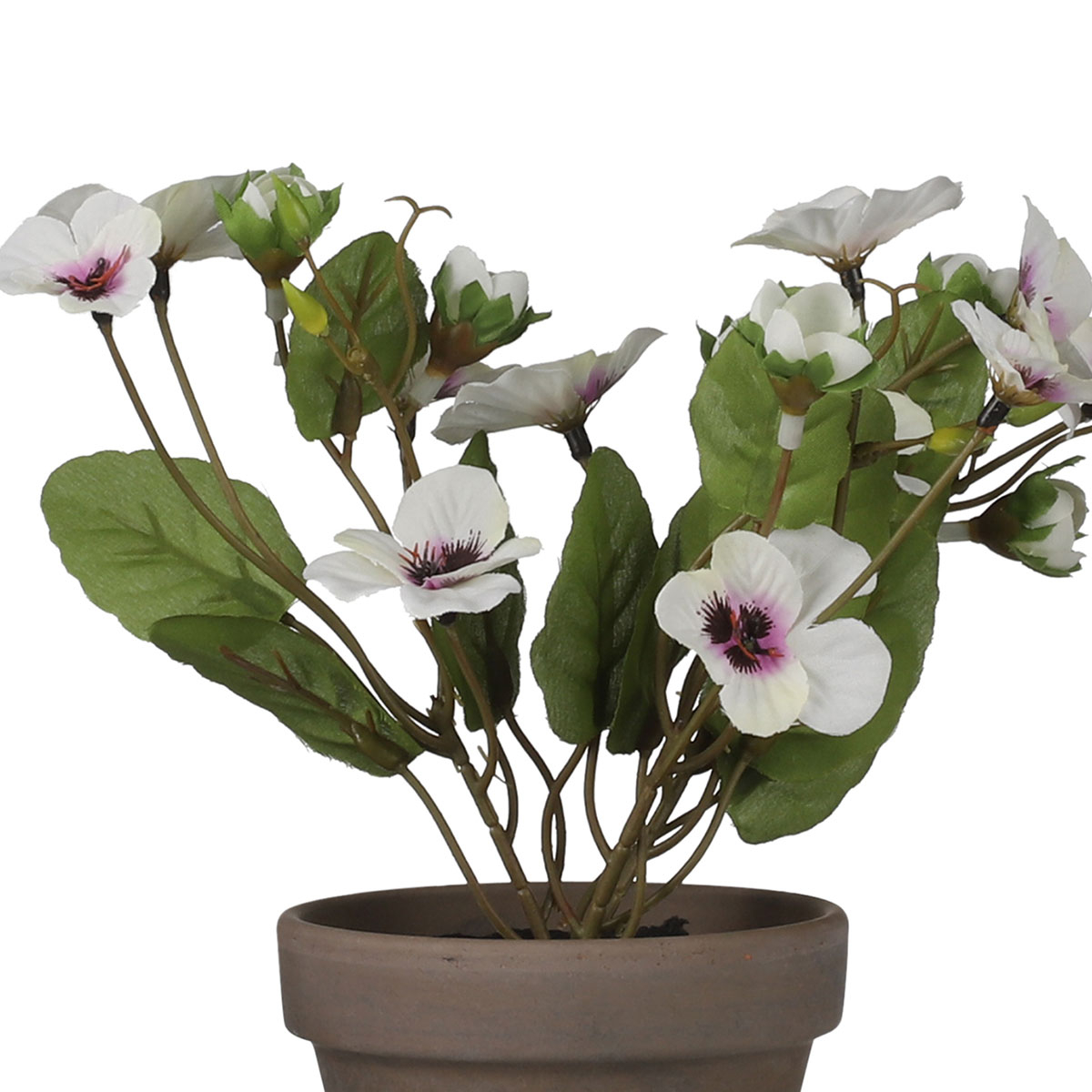 Τεχνητό Λουλούδι Σε Γλάστρα (Φ20x19) Edelman Pansy 1079803 φωτογραφία