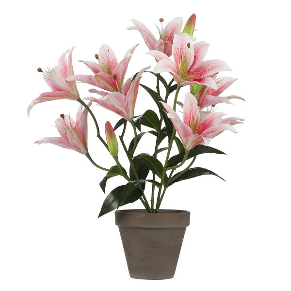Τεχνητό Λουλούδι Σε Γλάστρα (Φ45x47) Edelman Tiger Lily 1079764