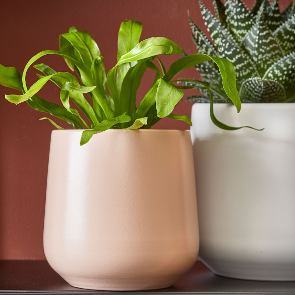 Κασπώ (Φ21x18) Edelman Amber Pink Matt 1094379