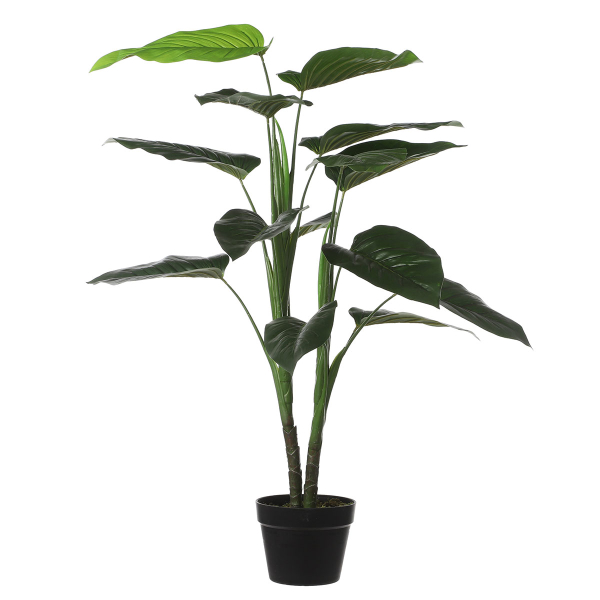 Τεχνητό Δέντρο (Φ70x100) Edelman Philodendron 1074893