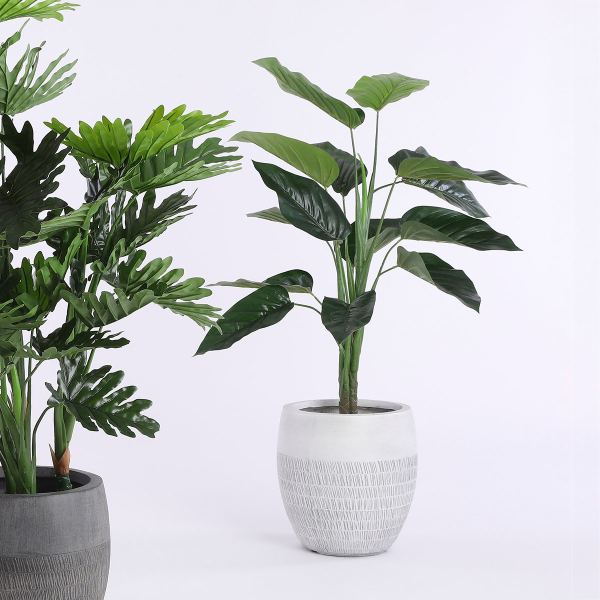 Τεχνητό Δέντρο (Φ70x100) Edelman Philodendron 1074893