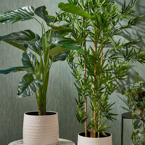 Τεχνητό Δέντρο (Φ70x100) Edelman Philodendron 1074893