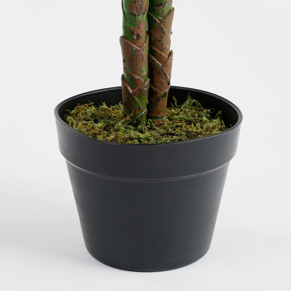 Τεχνητό Δέντρο (Φ70x100) Edelman Philodendron 1074893