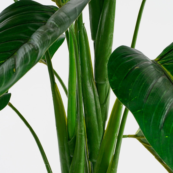 Τεχνητό Δέντρο (Φ70x100) Edelman Philodendron 1074893