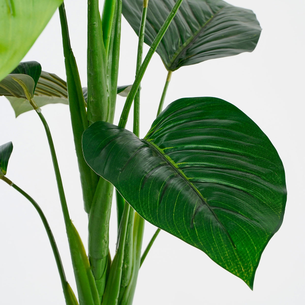 Τεχνητό Δέντρο (Φ70x100) Edelman Philodendron 1074893