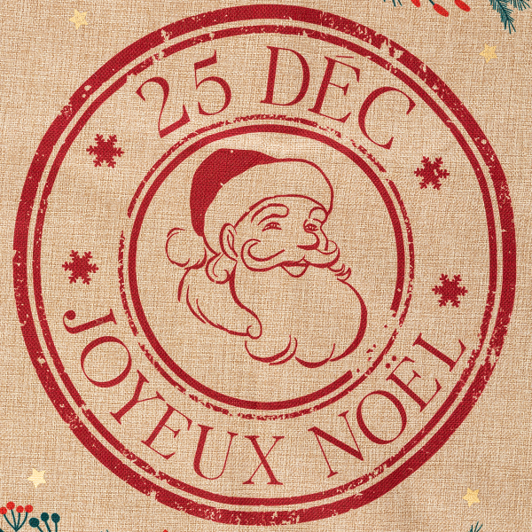 Χριστουγεννιάτικος Σάκος (50x70) A-S Poinsettia 183926