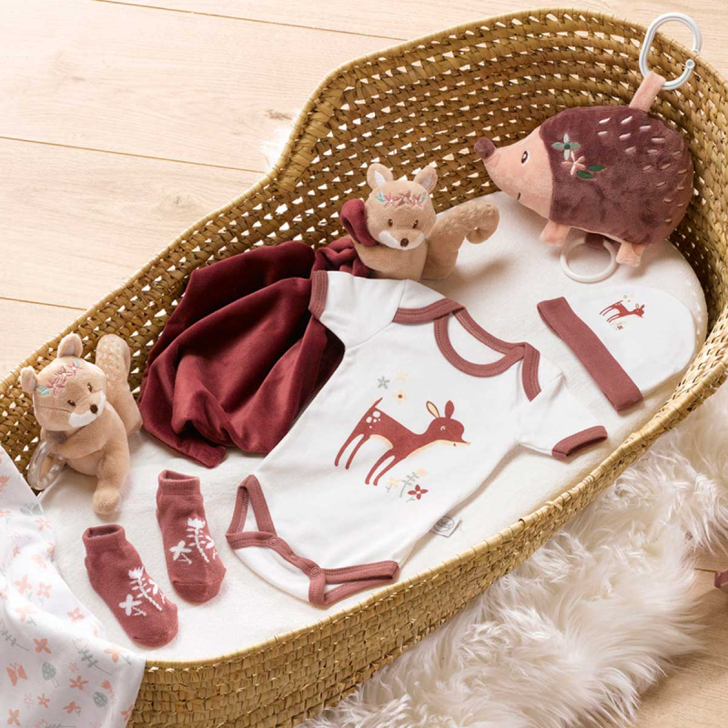 Βρεφικά Ρουχαλάκια Νεογέννητου (Σετ 4τμχ) L-C Foret Magique Rose 6TEX243