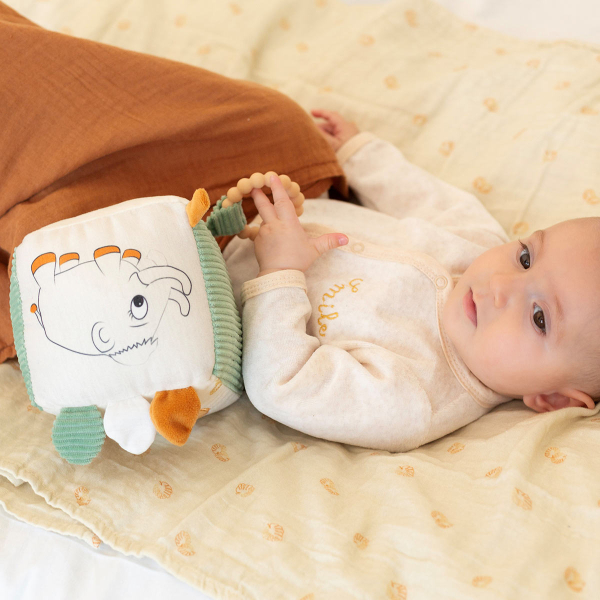 Κύβος Δραστηριοτήτων Trois Kilos Sept Diplododo 55-8455022