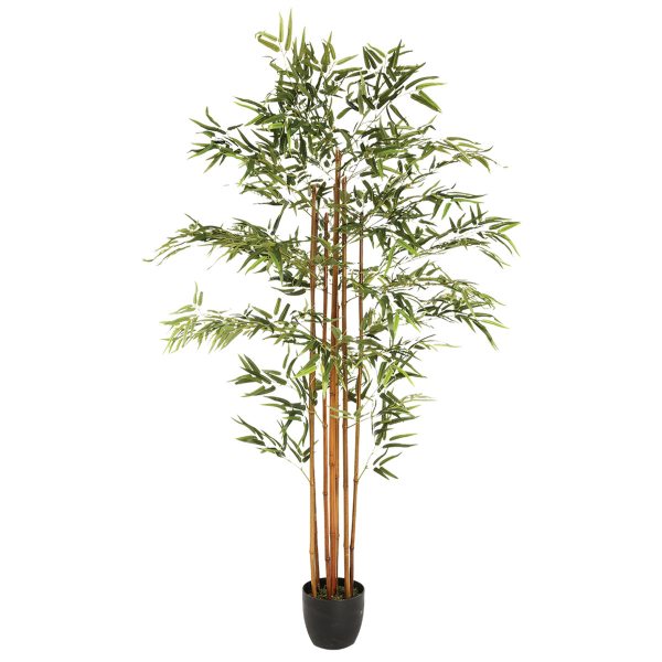 Τεχνητό Φυτό Σε Γλάστρα 185εκ. A-S Bamboo Artificil 110248