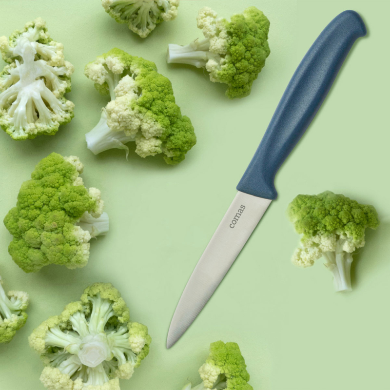 Μαχαίρι Γενικής Χρήσης (10εκ.) Comas Blue 7537