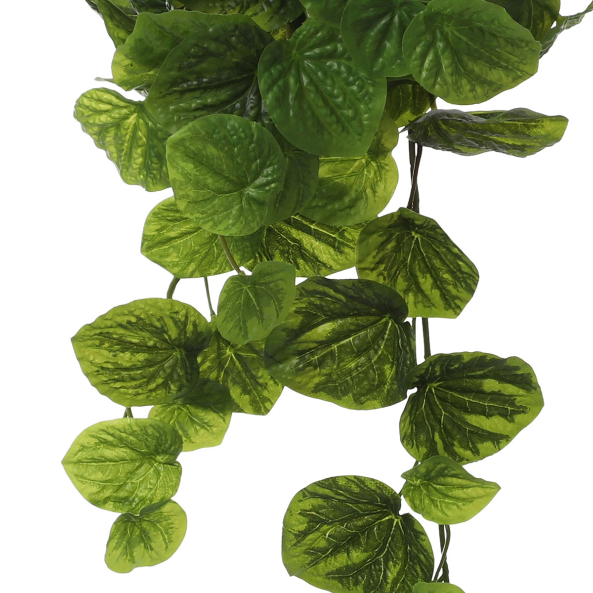 Τεχνητό Φυτό Κρεμαστό 58Εκ Edelman Peperomia Green 1074937 Home Διακόσμηση Τεχνητά Φυτά - Λουλούδια Spitishop