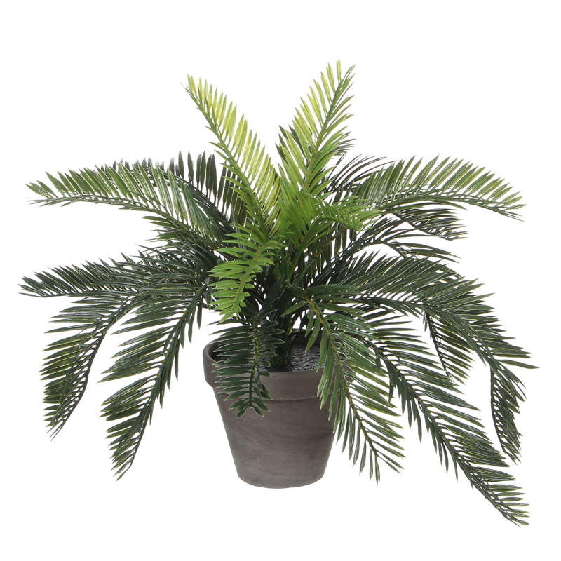 Τεχνητό Φυτό Σε Γλάστρα 37εκ. Edelman Cycas 1044529