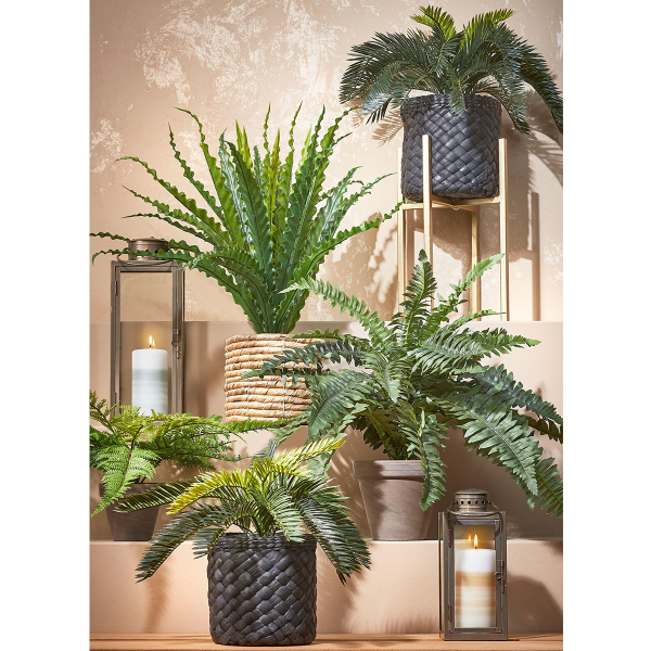 Τεχνητό Φυτό Σε Γλάστρα 37εκ. Edelman Cycas 1044529