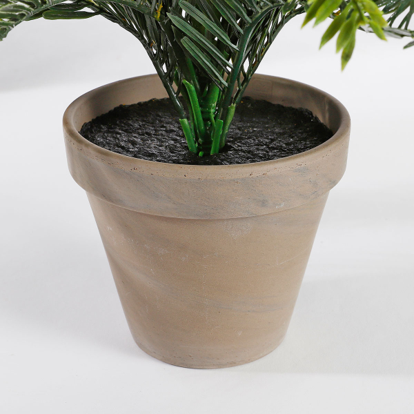 Τεχνητό Φυτό Σε Γλάστρα 37εκ. Edelman Cycas 1044529