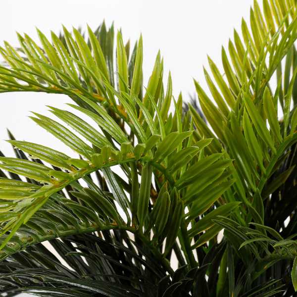 Τεχνητό Φυτό Σε Γλάστρα 37εκ. Edelman Cycas 1044529