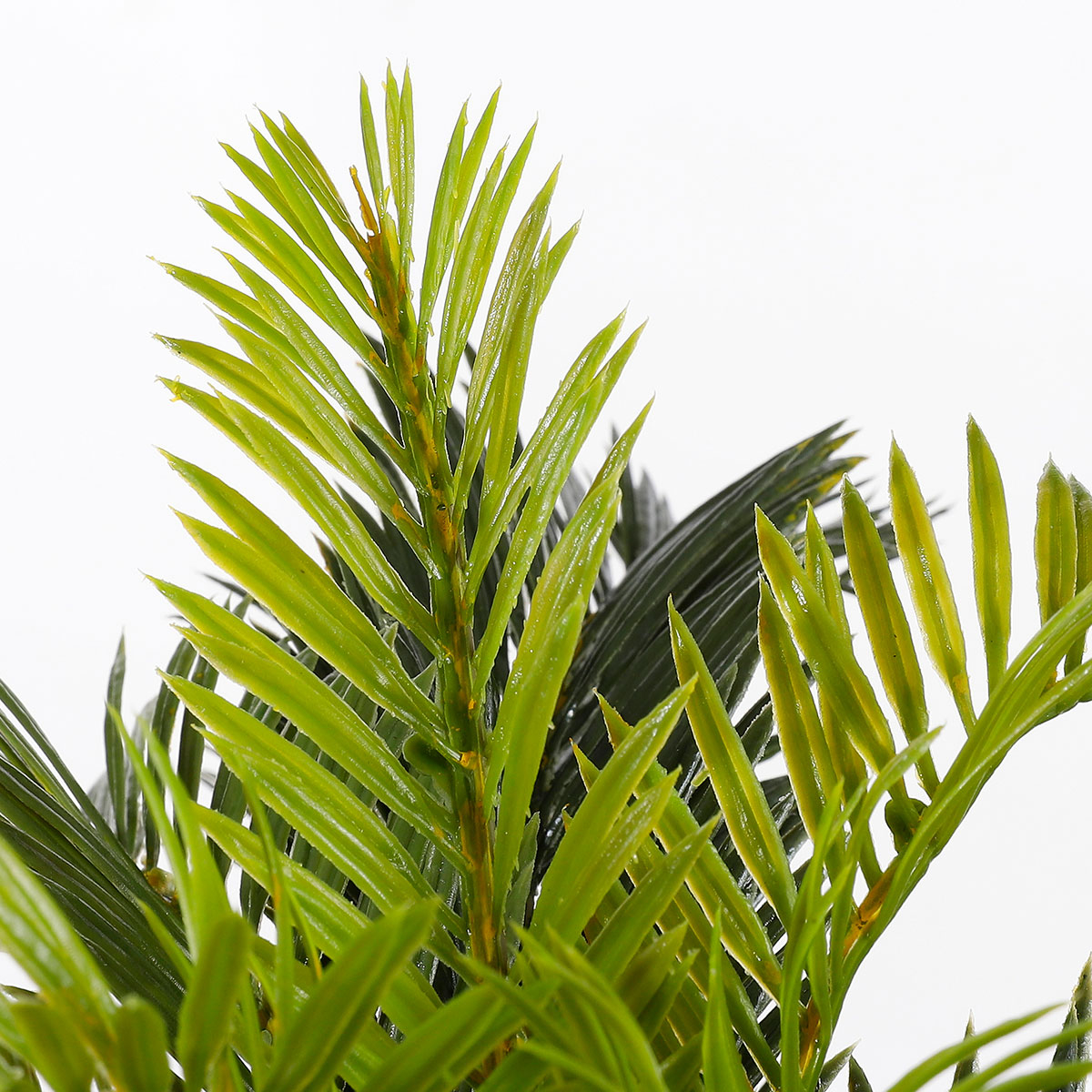 Τεχνητό Φυτό σε Γλάστρα 37Εκ Edelman Cycas 1044529 Home Διακόσμηση Τεχνητά Φυτά - Λουλούδια Spitishop