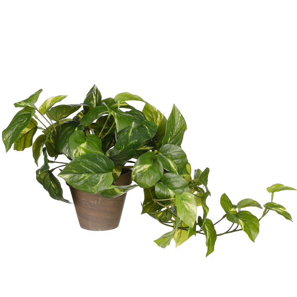 Τεχνητό Φυτό Σε Γλάστρα 44εκ. Edelman Pothos 1116842