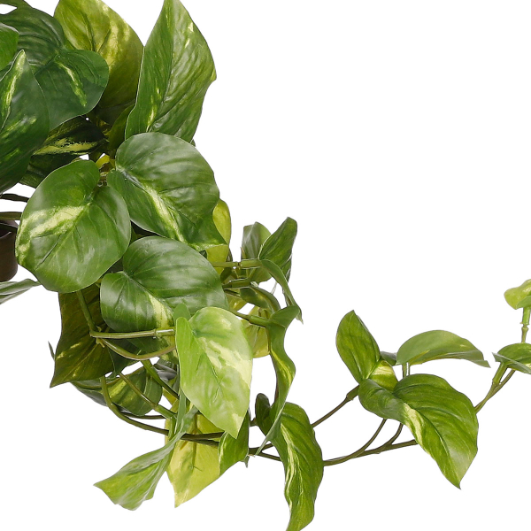 Τεχνητό Φυτό Σε Γλάστρα 44εκ. Edelman Pothos 1116842