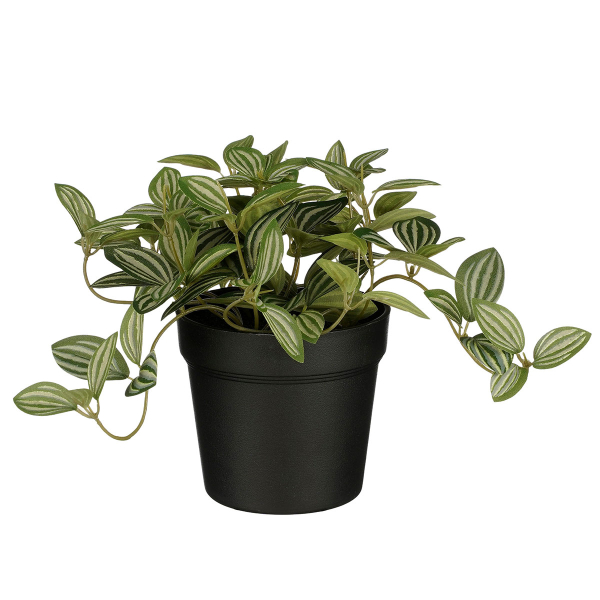 Τεχνητό Φυτό Σε Γλάστρα 16εκ. Edelman Tradescantia 1151032