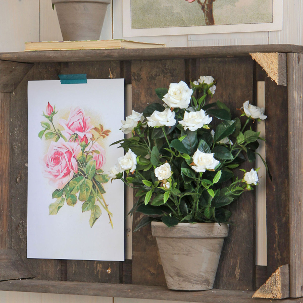 Τεχνητό Λουλούδι Σε Γλάστρα 33εκ. Edelman Rosebush White 948334