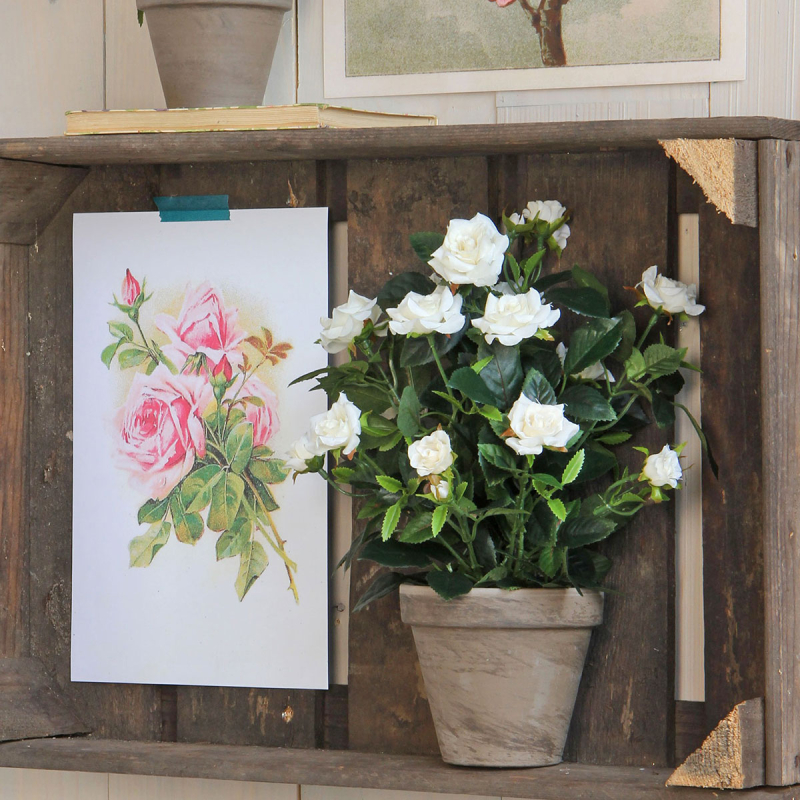 Τεχνητό Λουλούδι Σε Γλάστρα 33εκ. Edelman Rosebush White 948334