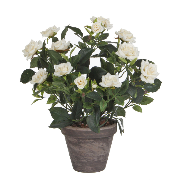 Τεχνητό Λουλούδι Σε Γλάστρα 33εκ. Edelman Rosebush White 948334