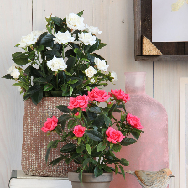 Τεχνητό Λουλούδι Σε Γλάστρα 33εκ. Edelman Rosebush White 948334