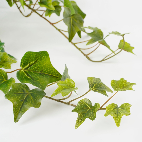 Τεχνητό Φυτό Κρεμαστό 70εκ. Edelman Hedera 1026611