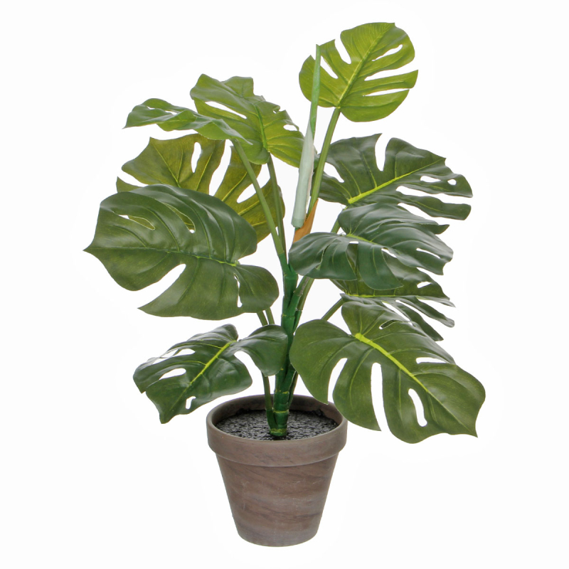 Τεχνητό Φυτό Σε Γλάστρα 48εκ. Edelman Monstera 1044541