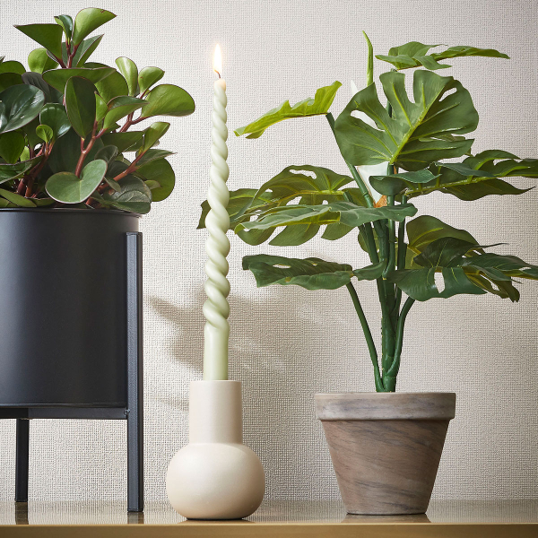 Τεχνητό Φυτό Σε Γλάστρα 48εκ. Edelman Monstera 1044541