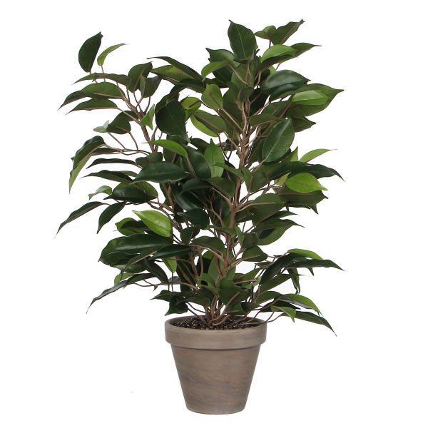 Τεχνητό Φυτό Σε Γλάστρα 40εκ. Edelman Ficus 930307