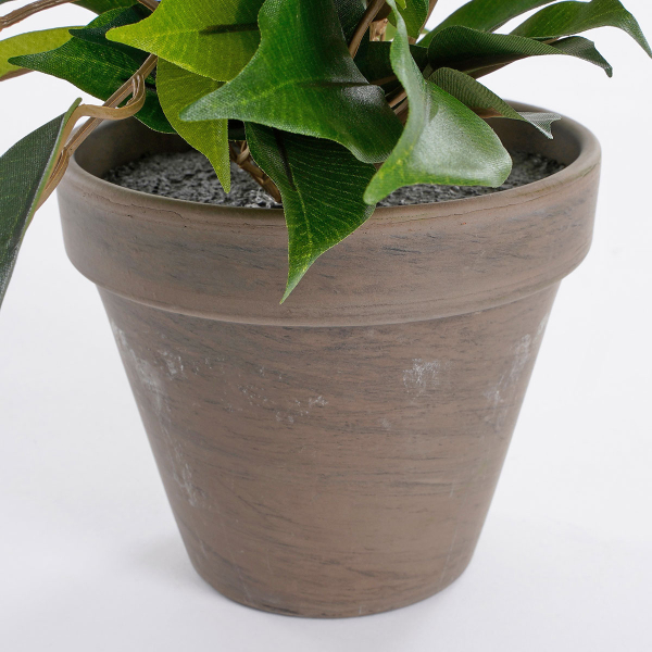 Τεχνητό Φυτό Σε Γλάστρα 40εκ. Edelman Ficus 930307