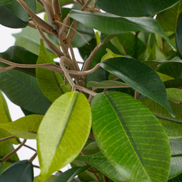 Τεχνητό Φυτό Σε Γλάστρα 40εκ. Edelman Ficus 930307
