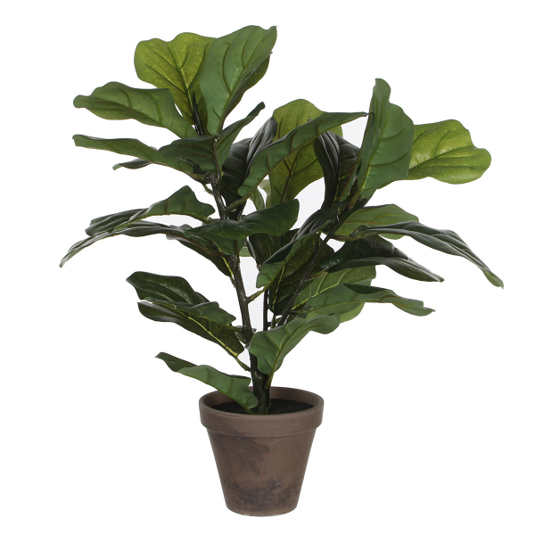 Τεχνητό Φυτό Σε Γλάστρα 35εκ. Edelman Ficus Lyrata 930693