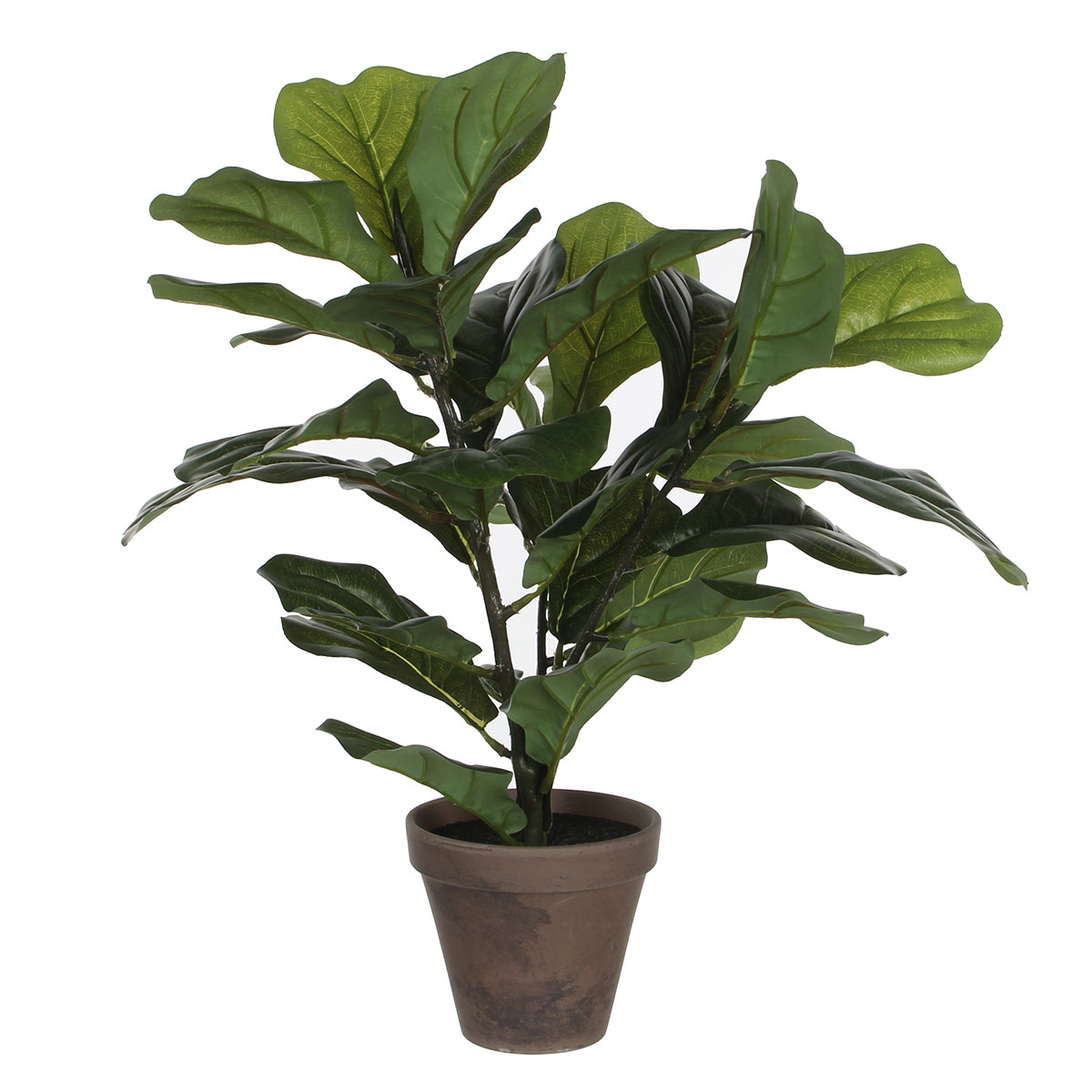 Τεχνητό Φυτό Σε Γλάστρα 35εκ. Edelman Ficus Lyrata 930693 278186