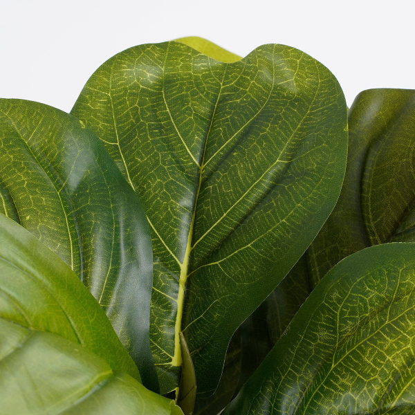 Τεχνητό Φυτό Σε Γλάστρα 35εκ. Edelman Ficus Lyrata 930693