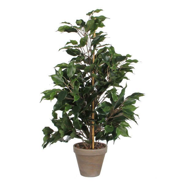 Τεχνητό Φυτό Σε Γλάστρα 60εκ. Edelman Ficus 980063