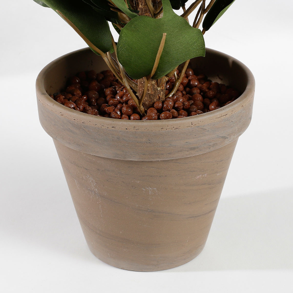 Τεχνητό Φυτό Σε Γλάστρα 60εκ. Edelman Ficus 980063